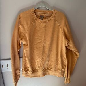 American Eagle Outfitters Beige Crewneck Top